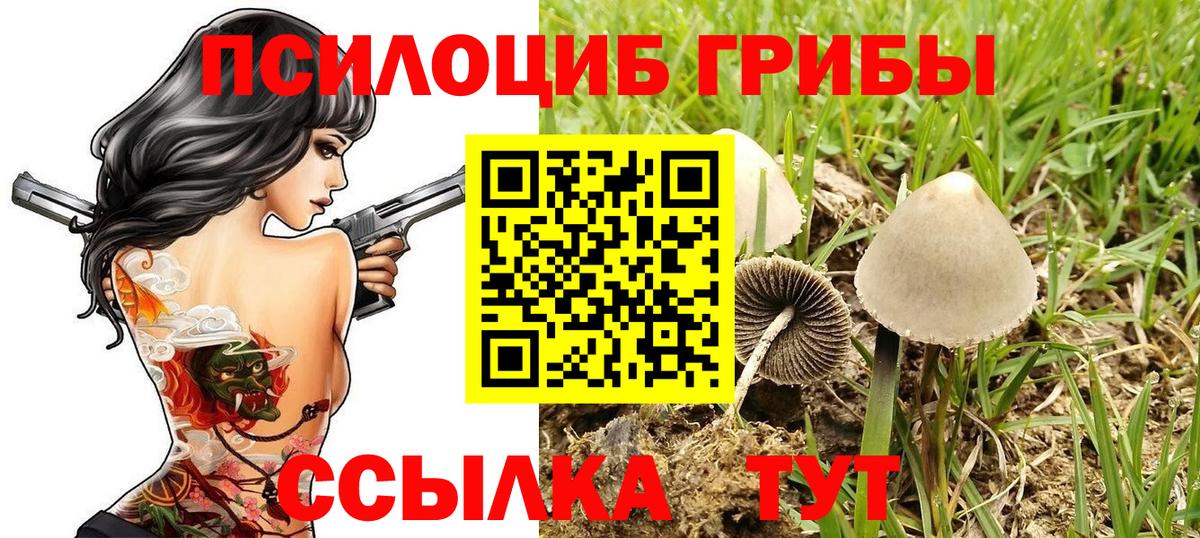 Псилоцибиновые грибы ЛСД  Вход с VPN  Галлюциногенные грибы Magic Shrooms  Каменск-Уральский 